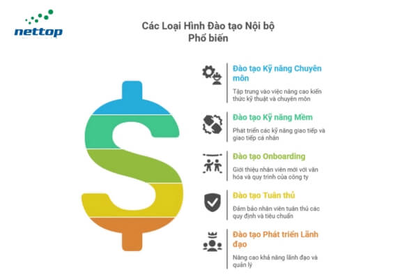 Các Loại Hình Đào tạo Nội bộ Phổ biến Các Loại Hình Đào tạo Nội bộ Phổ biến