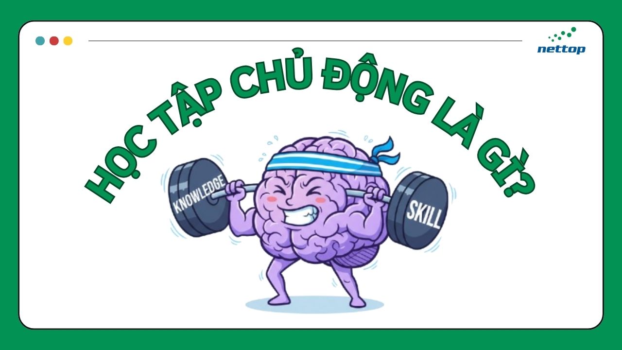 Học tập chủ động là gì Cách xây dựng văn hóa học tập hiệu quả